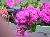 DSC00009.JPG