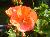 DSC00135.JPG