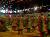 Terrakotta_0304x.jpg