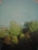 DSCI0866.JPG
