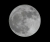 Mond_1903.jpg