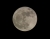 mond-2a.jpg