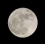 mond-2b.jpg