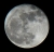 mond43.jpg