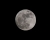 Mond_170411.jpg