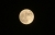 mond-602.jpg