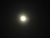 DSCN1081 (Medium).JPG