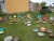 test-st30-1.jpg