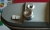 Vario Detail.JPG