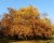 herbst1.jpg
