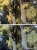 scans.jpg
