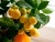 Mandarine_2.jpg