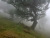 03_Lorbeerwald.jpg