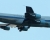 number-one-4.jpg