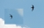 swift3.jpg