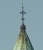 tz41-3.jpg