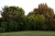 herbst-3.jpg