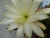 P1000680.JPG