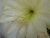 P1000679.JPG