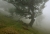 Madeira Nebel_1.jpg