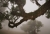 Madeira Nebel_4.jpg