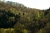 Krnbergwald_2.jpg