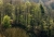 Krnbergwald_5.jpg