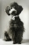 blacky.jpg