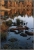Herbstabend am See III.jpg