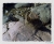 Just a stone.jpg