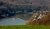 Puchenau_Donau.jpg