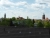 test-tz41-1.jpg