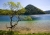 Erlaufsee.jpg