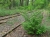 bahnstrecke-02.jpg