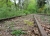 bahnstrecke-05.jpg