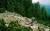 Nordwald_3.jpg