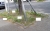 berliner-strassenrand1.jpg