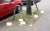 berliner-strassenrand2.jpg