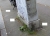 berliner-strassenrand5.jpg