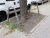 berliner-strassenrand8.jpg