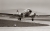 Enzian1_DC3.jpg