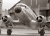Enzian3_DC3.jpg