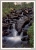 Bone Breaker Creek.jpg