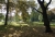 suedpark-3.jpg