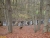 briesetal-2.jpg