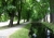 nieplitz-5.jpg