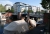 hafen-3.jpg