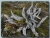 Skulptur der Natur.jpg