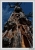 Zombie Tree V.jpg
