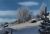 Die Farben des Winters neu.jpg